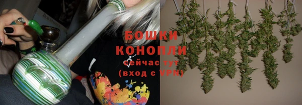 дживик Каменка