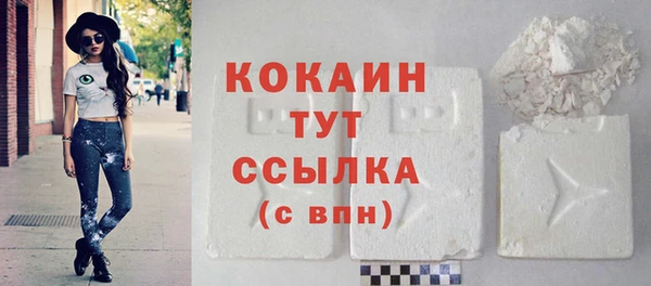 дживик Каменка