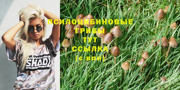 apvp Каменск-Шахтинский