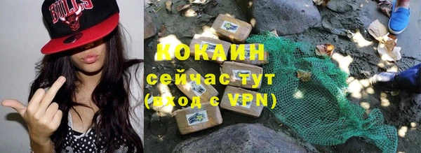 дживик Каменка