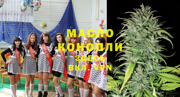 дживик Каменка