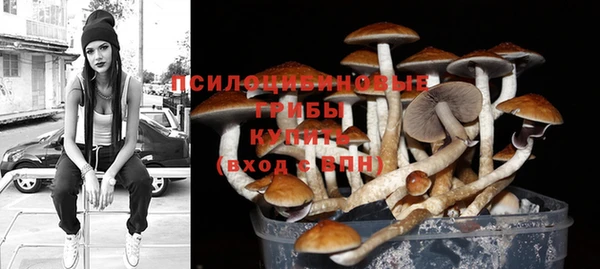 дживик Каменка
