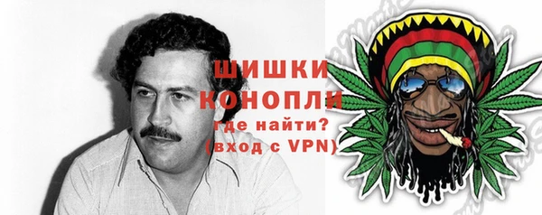 дживик Каменка