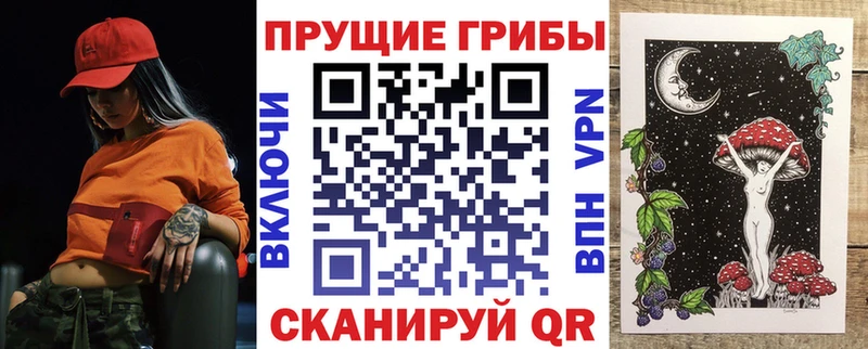 Псилоцибиновые грибы Psilocybine cubensis Купить закладки Кунгур